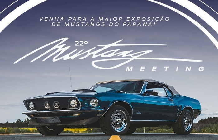 mustang2 (1)