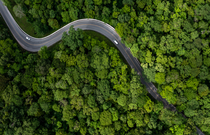 Aerial view green forest with car on the asphalt road, Car drive