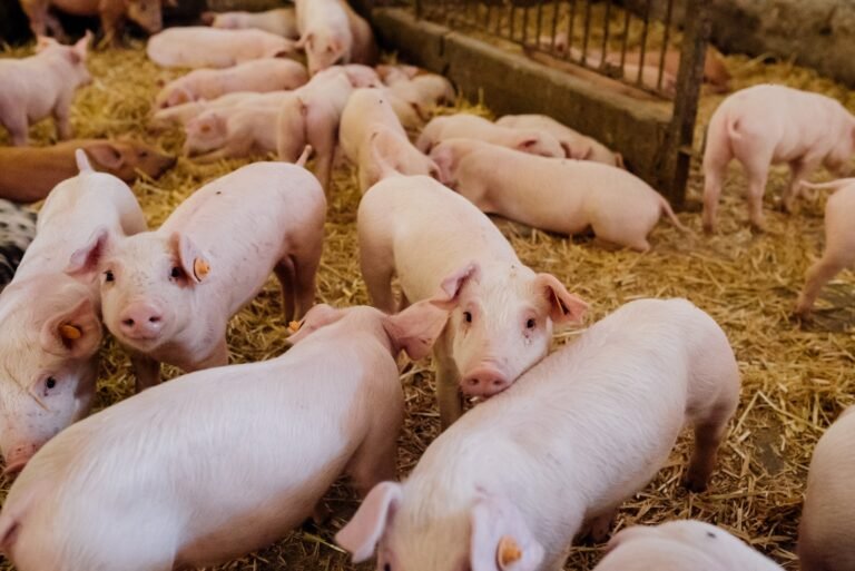 WhatsApp-Image-2026-02-24-at-16.15