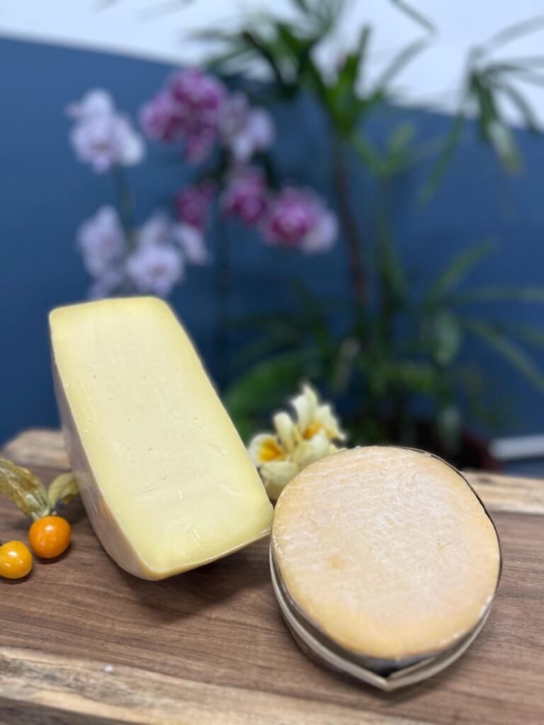 6dbfe812-7e41-4241-b101-3288163ebecb (1)