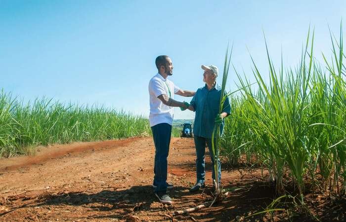 imagem-comprimida-2 (1) (1)